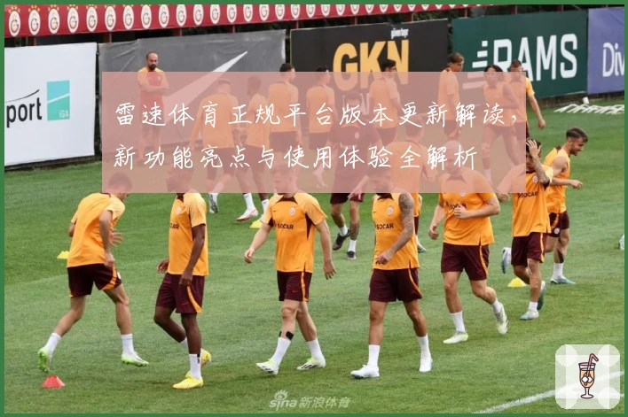 雷速体育正规平台版本更新解读，新功能亮点与使用体验全解析